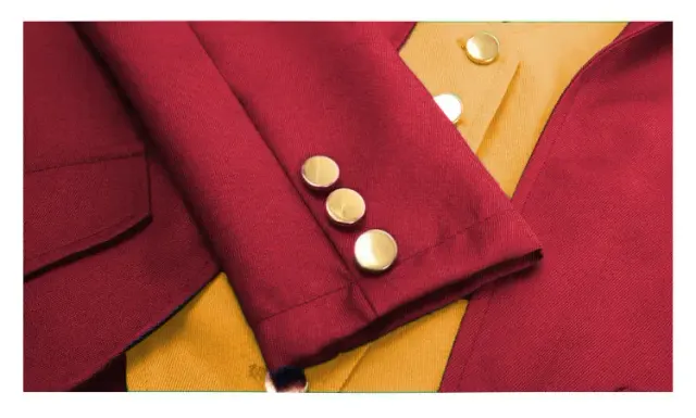Costume cosplay médiéval de queue-de-pie de clown d'Halloween pour homme détail 1